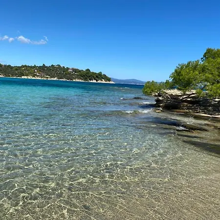 Lili In 350m From The * Nikiti (Sithonia)